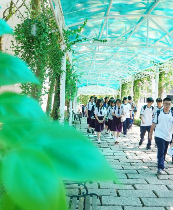 Bước tiến quan trọng trong hành trình phát triển và hội nhập toàn cầu.