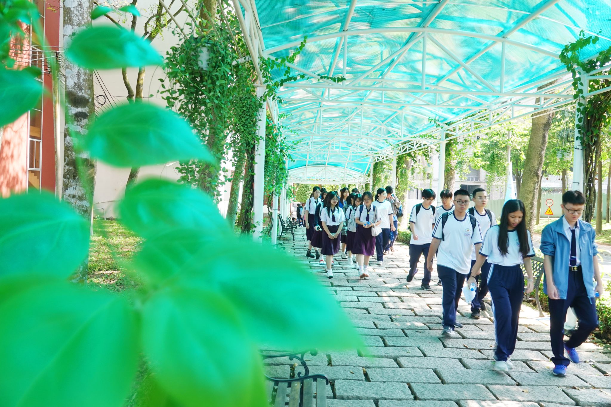 Bước tiến quan trọng trong hành trình phát triển và hội nhập toàn cầu.